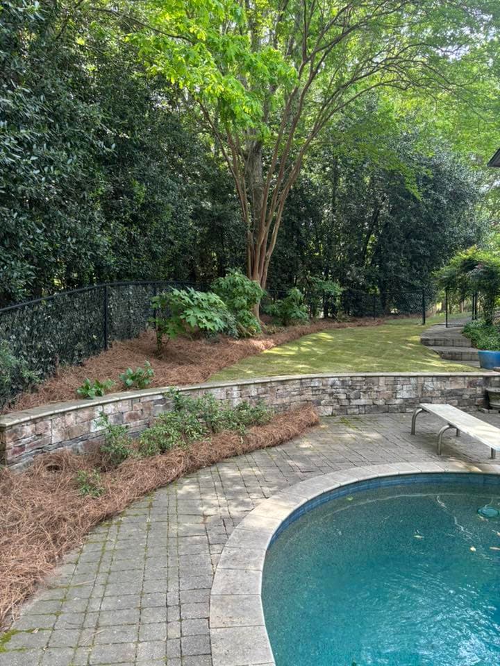 Backyard oasis featuring a stone pool, landscaped area, and lush greenery in a serene setting.