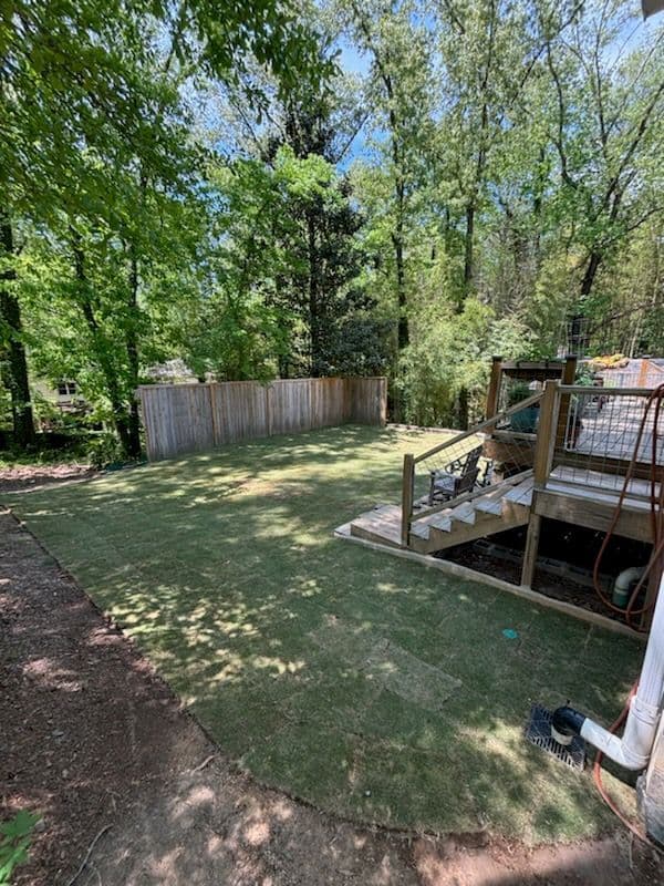 Backyard with freshly laid sod, wooden deck, and lush greenery under clear blue sky.