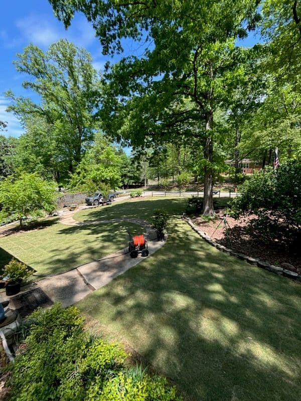 Lush backyard garden with manicured lawns, trees, and garden tools under clear blue sky.
