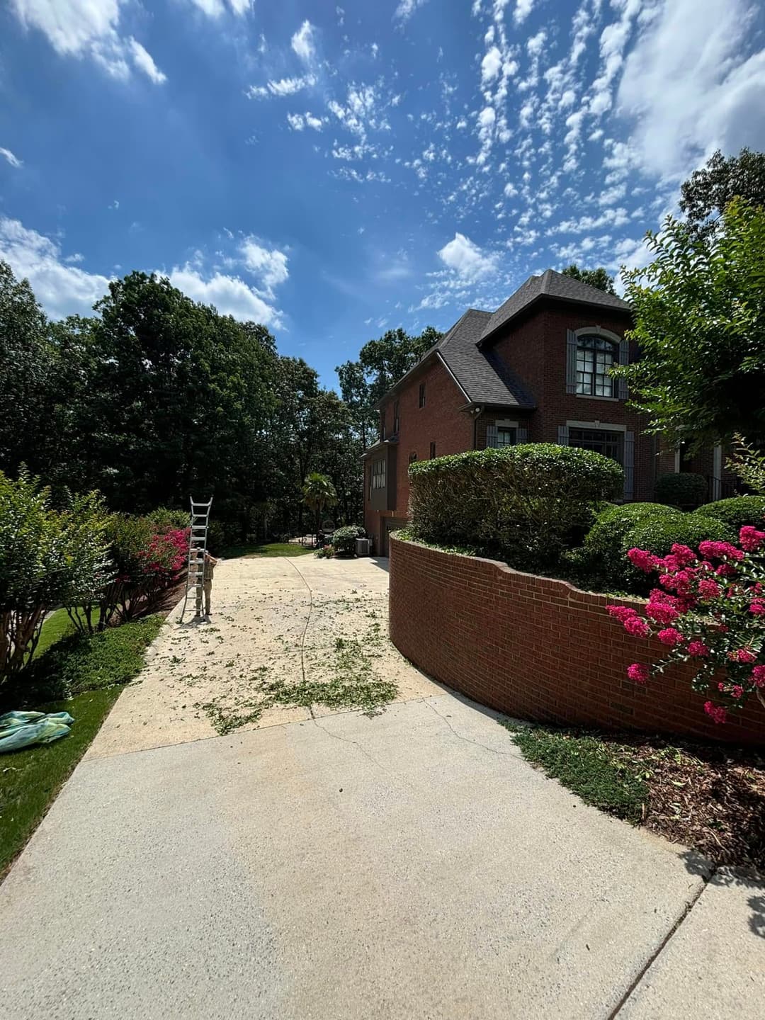 Brick house with landscaped yard, blue sky, and ladder on driveway with flowering bushes.