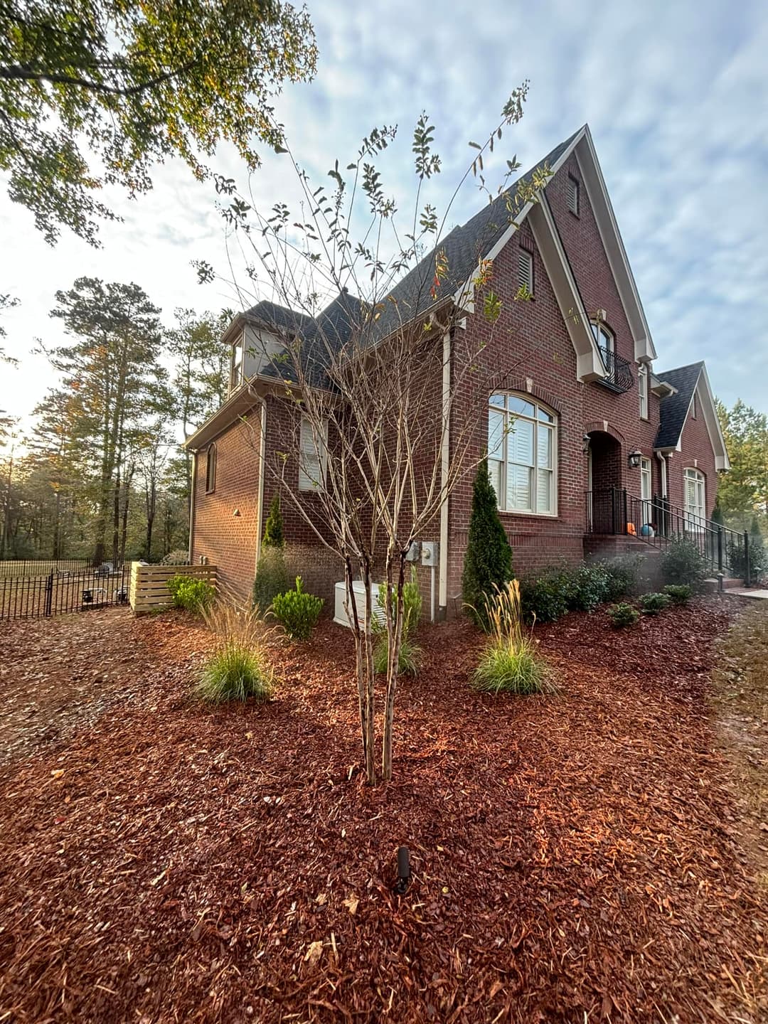 Elegant brick home with landscaped yard and young trees, surrounded by mulch and greenery.