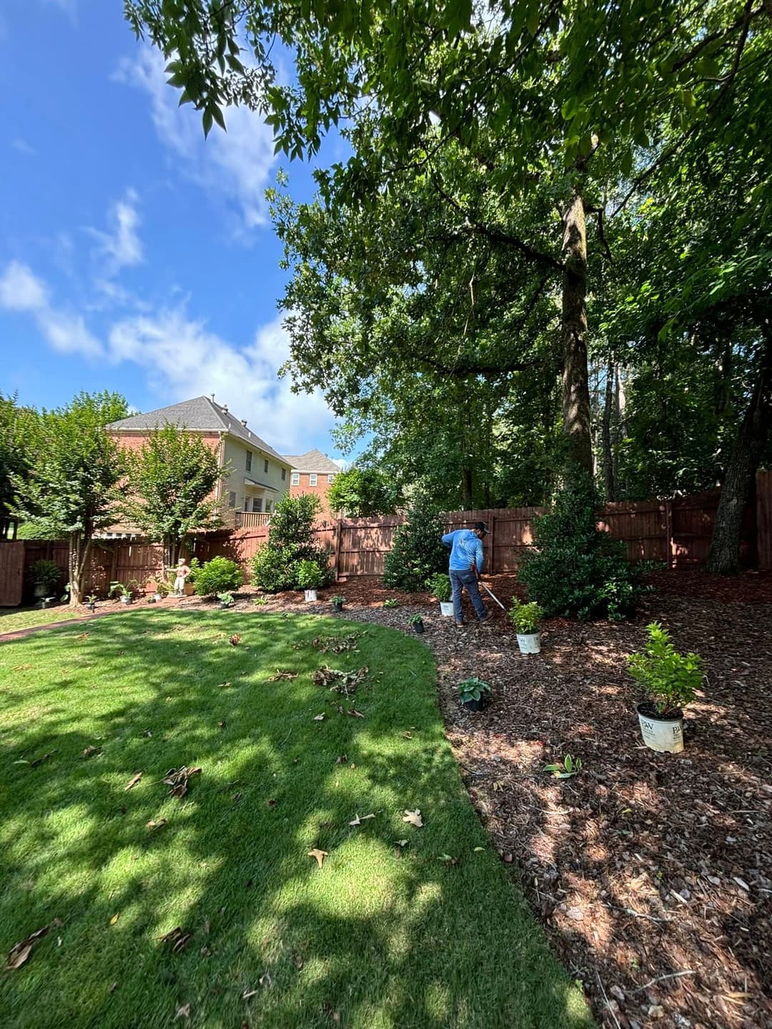 Person gardening in a lush backyard with decorative shrubs and trees under a blue sky.