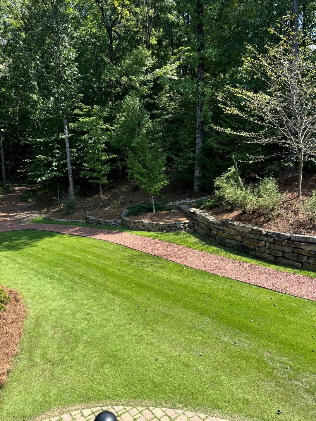 Lush green lawn and stone pathway bordered by trees in a serene garden setting.