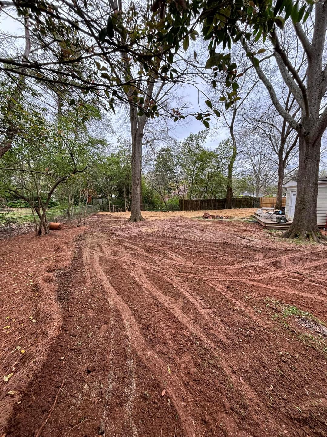Cleared backyard with fresh soil and scattered leaves under tall trees, ready for landscaping.