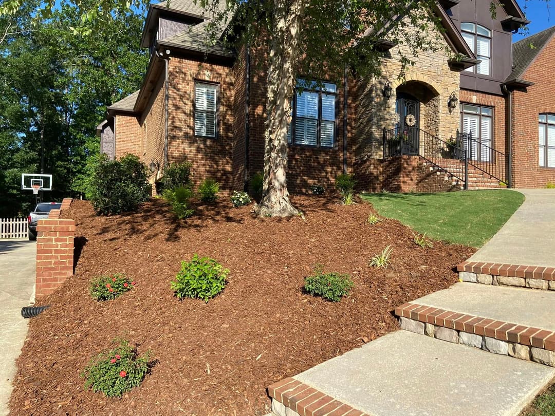 House with landscaped flower bed, mulch, and decorative plants in front yard.