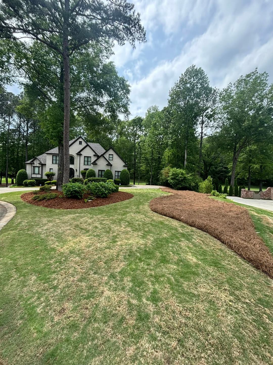 Elegant house surrounded by lush greenery and landscaped garden. Bright, overcast sky above.