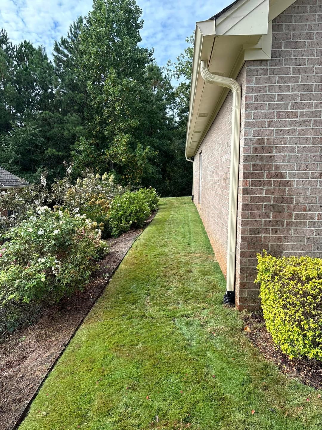 Lush green yard alongside a brick house with flower beds and trees in the background.