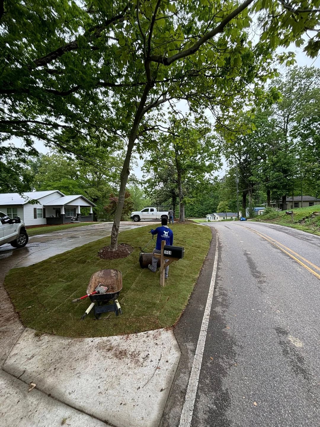 Person working on landscaping with freshly cut grass near a mailbox on a suburban road.