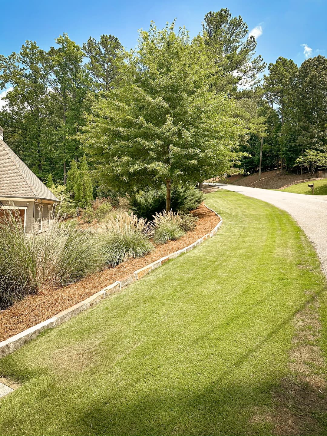 Lush green lawn with landscaped flower beds and trees along a residential driveway.