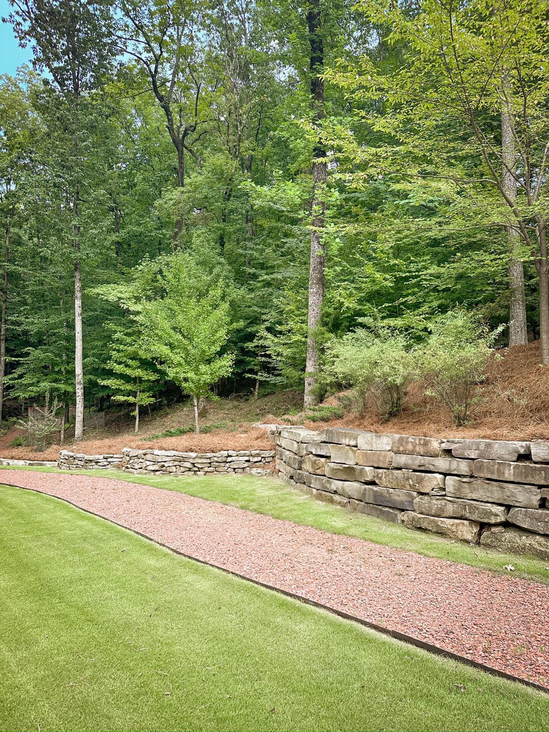 Lush green forest with stone wall and gravel path in tranquil outdoor landscape.