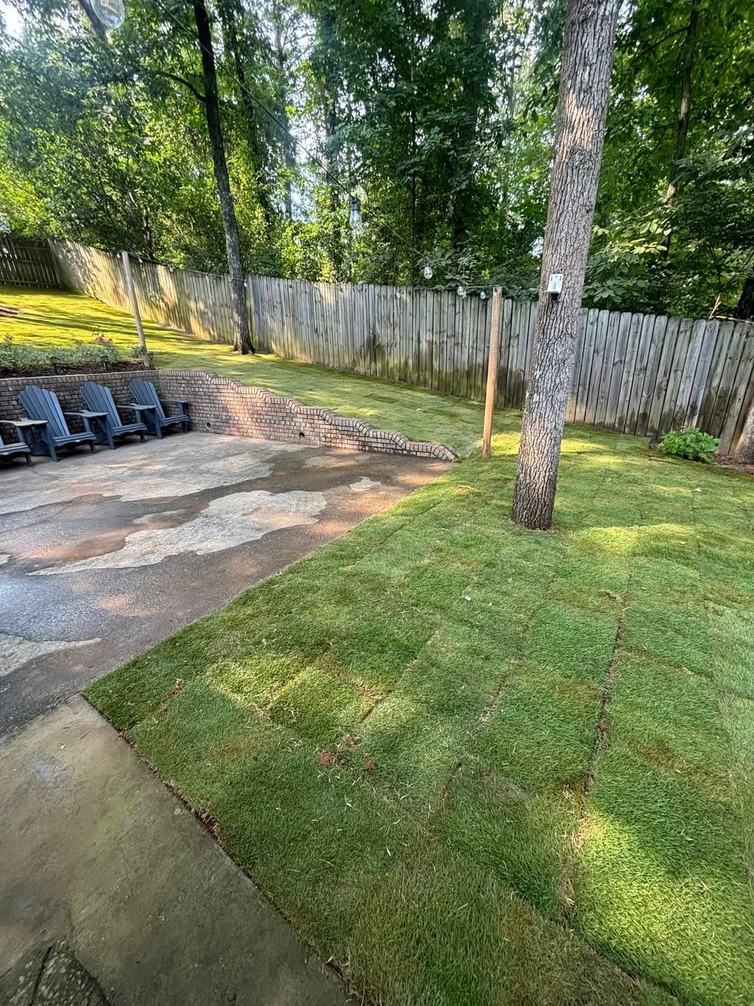 Lush green backyard with newly laid sod, patio area, and wooden fence in a serene setting.