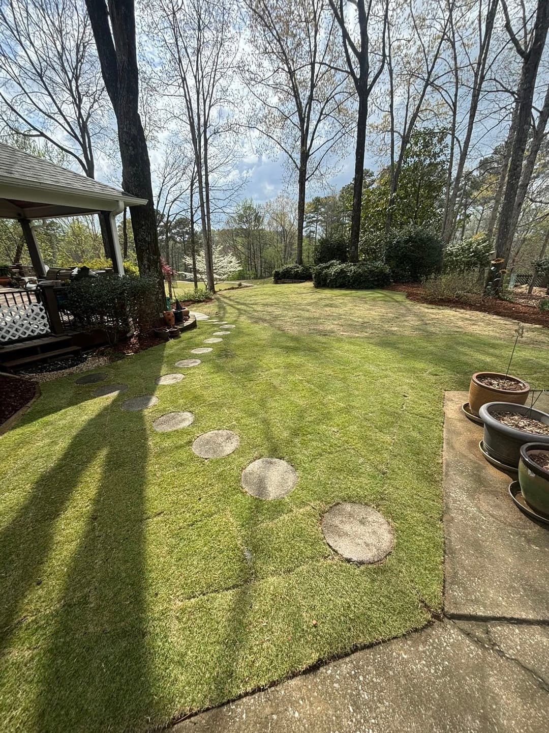 Lush green backyard with stone path, trees, and garden pots under a clear sky.