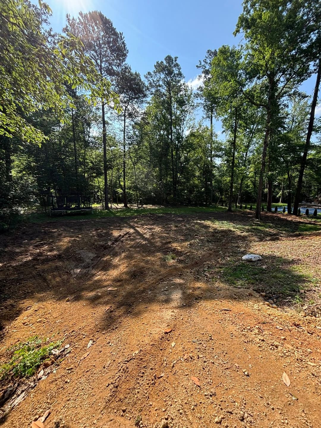 Cleared land surrounded by trees with a sunny blue sky, ideal for building or landscaping.