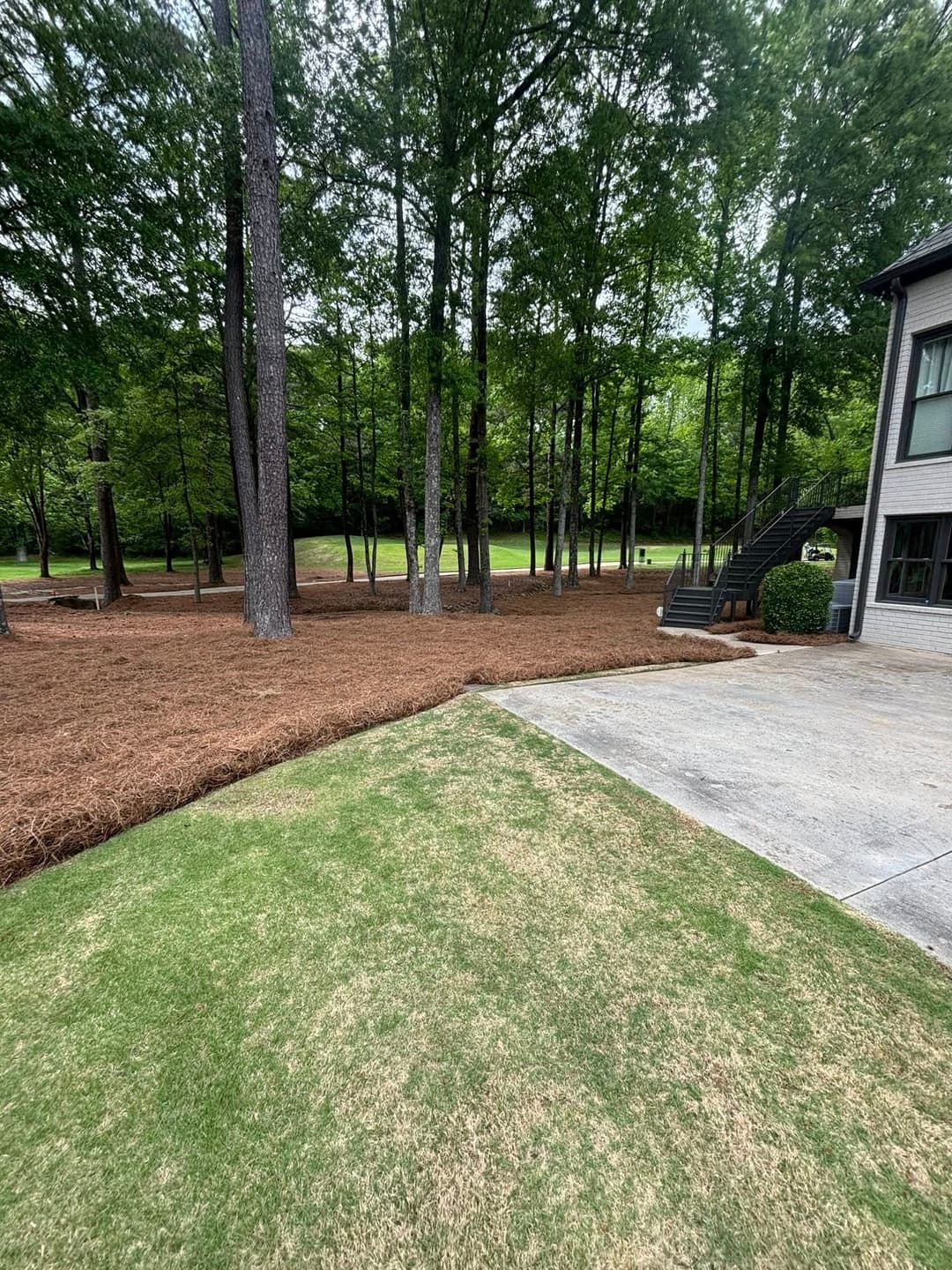 Lush green lawn and landscaped yard with pine straw and surrounding trees.