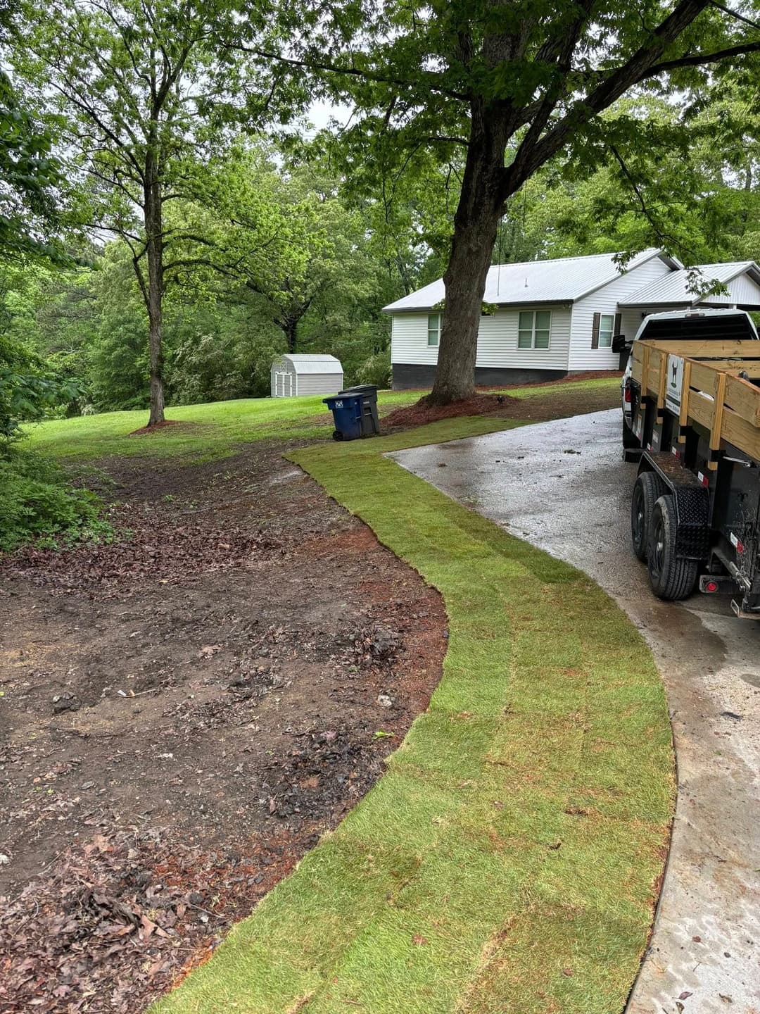 Freshly laid sod along a gravel path in a residential yard with trees and a house in the background.