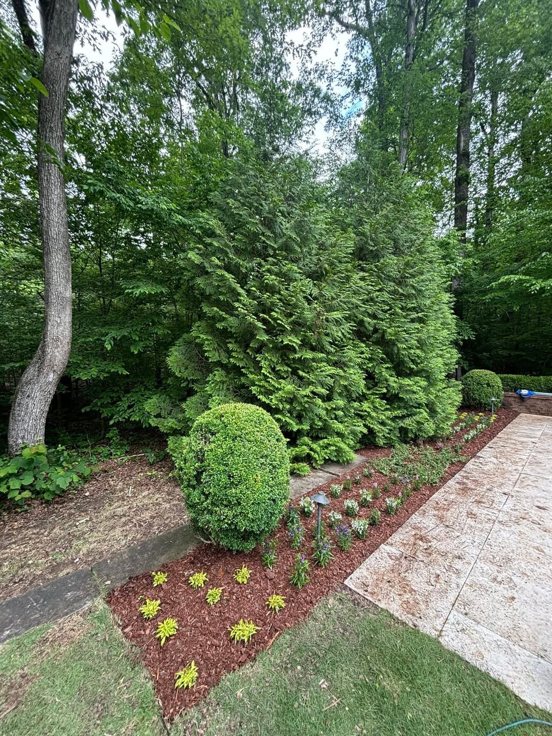 Lush garden with ornamental shrubs, flowers, and mulch near a stone walkway in a wooded area.