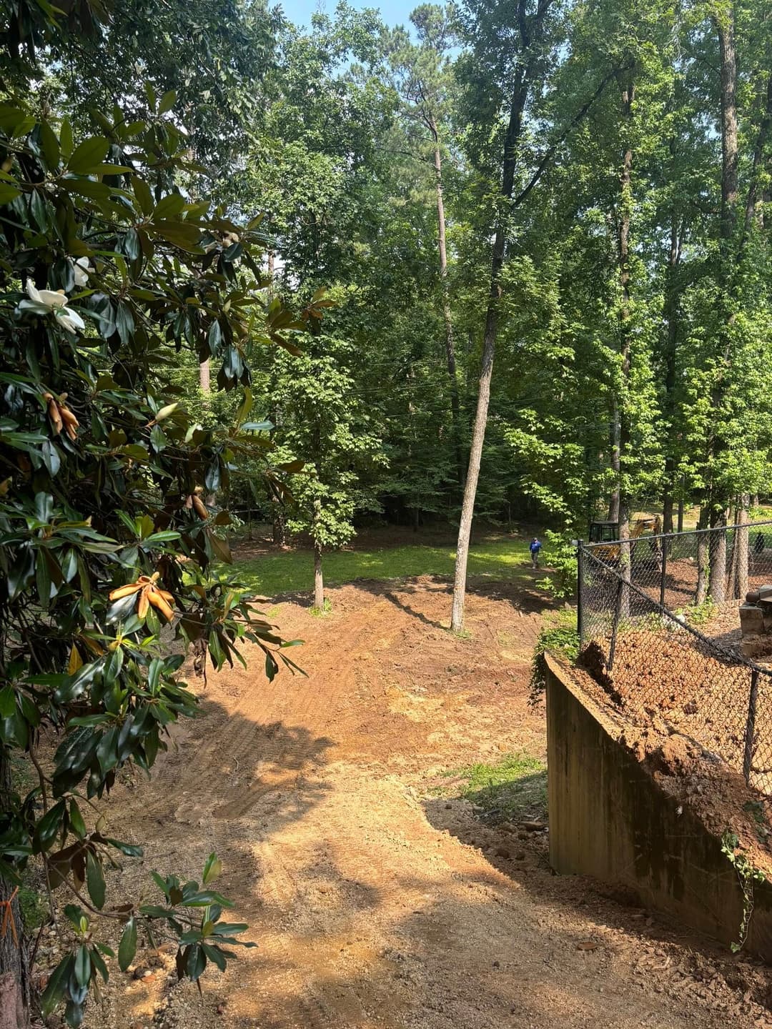 Cleared land with trees, fencing, and landscaping near a residential area.