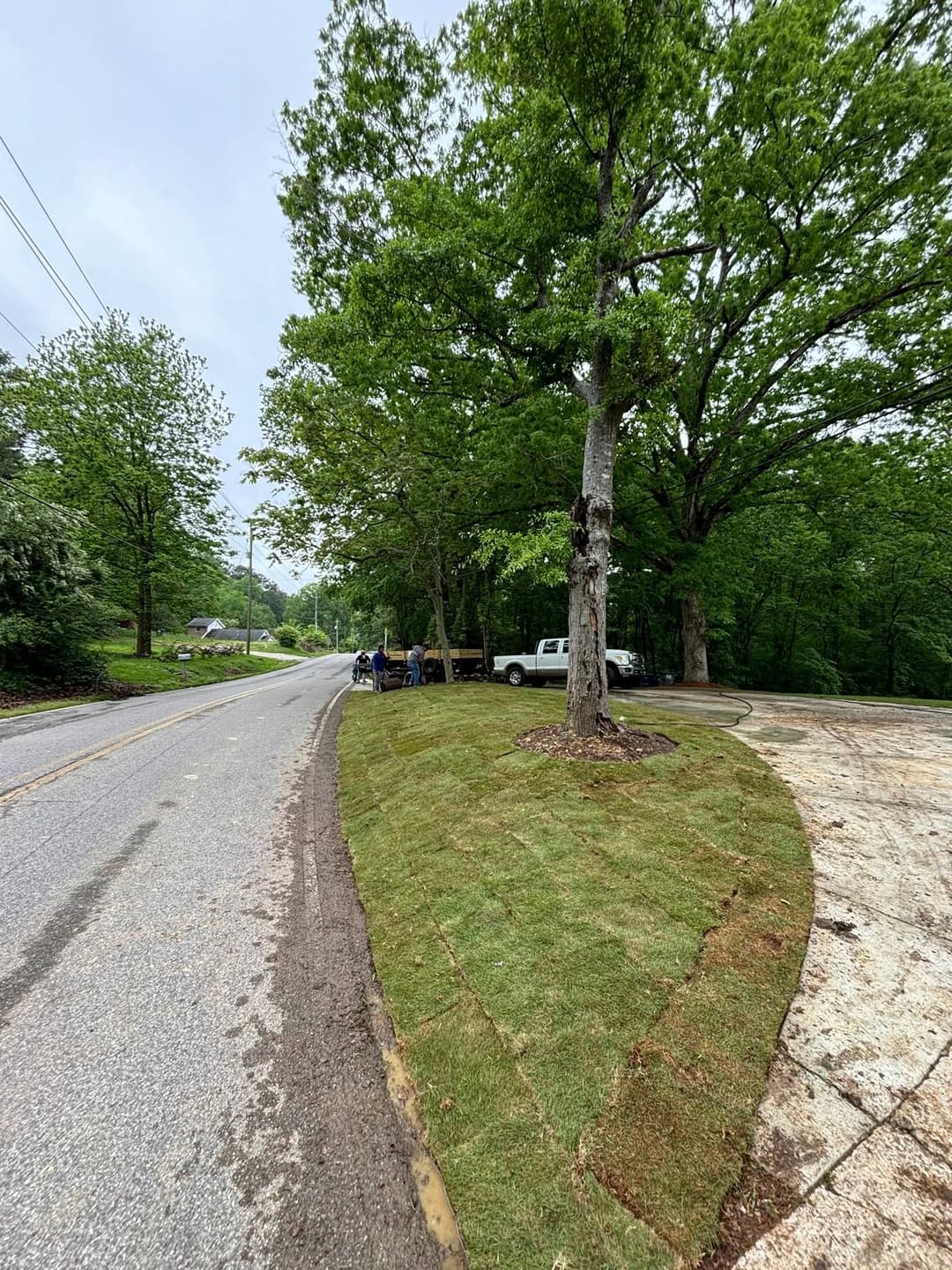 Lush green lawn installation along a roadside with workers and trees in the background.