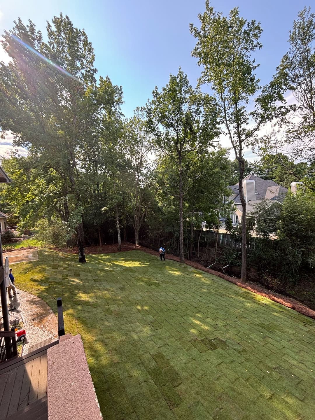 Lush green lawn installation in a residential backyard surrounded by trees.