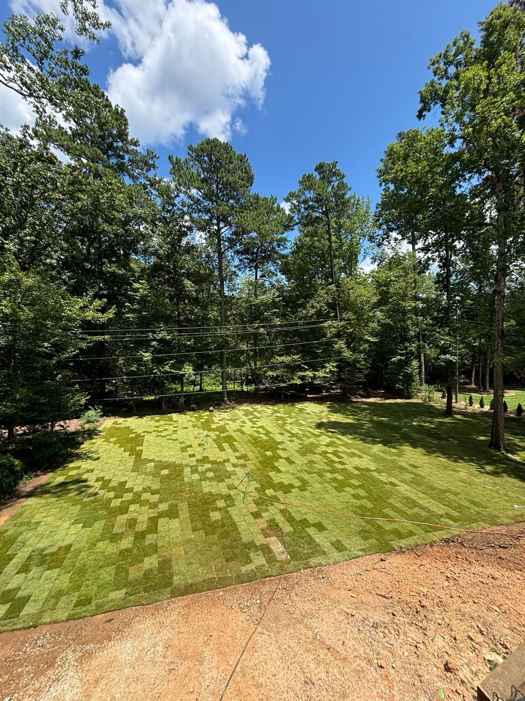 Lush green lawn with patterned grass under a clear blue sky and surrounding trees.