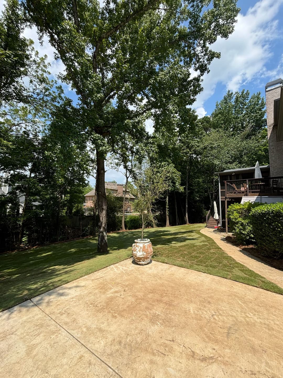 Spacious backyard with lawn, trees, and patio surrounded by greenery and blue sky.