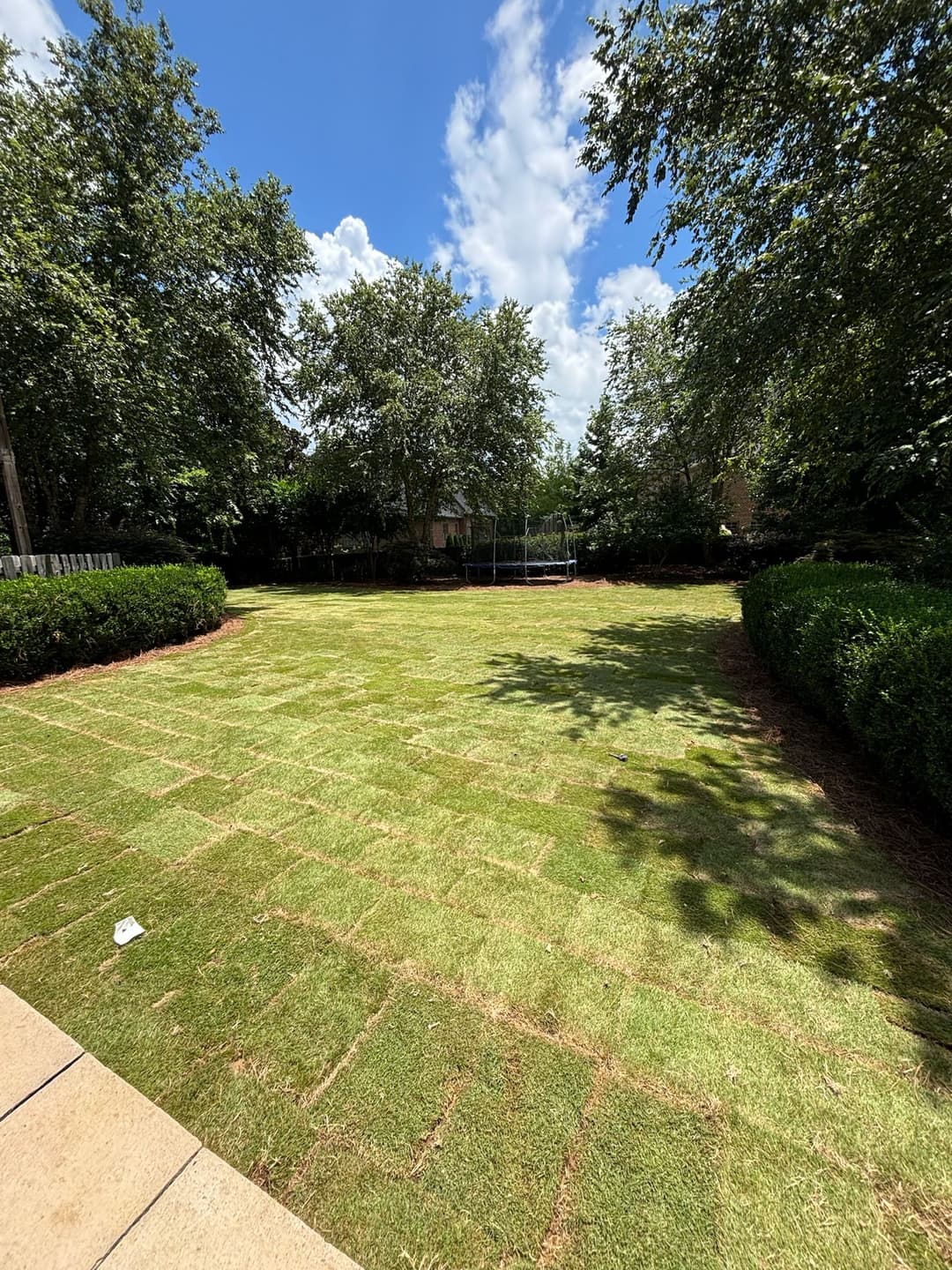 Lush green lawn surrounded by trees and hedges under a bright blue sky.