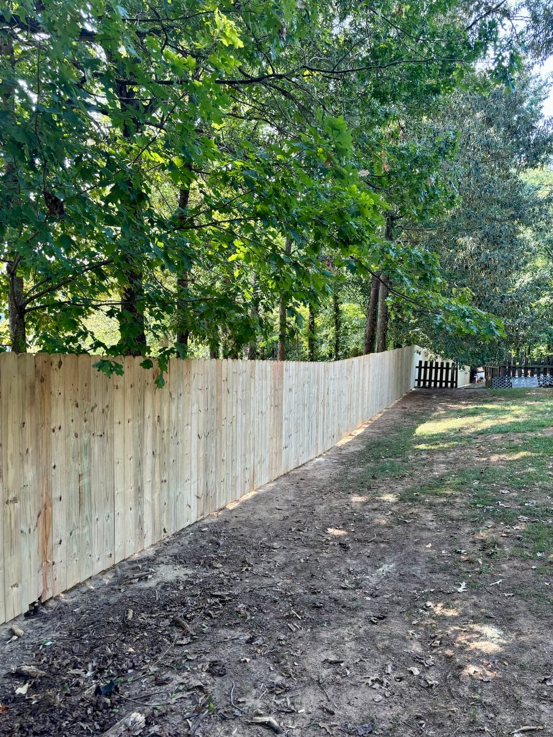 New wooden fence in a wooded area enhances privacy and garden aesthetics.