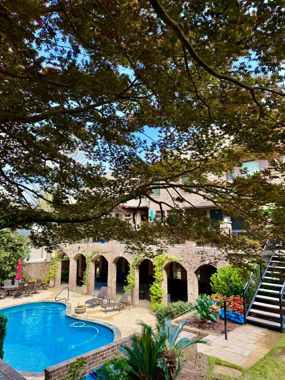 Luxury backyard oasis with pool, lush landscaping, and elegant architecture under a shaded tree.