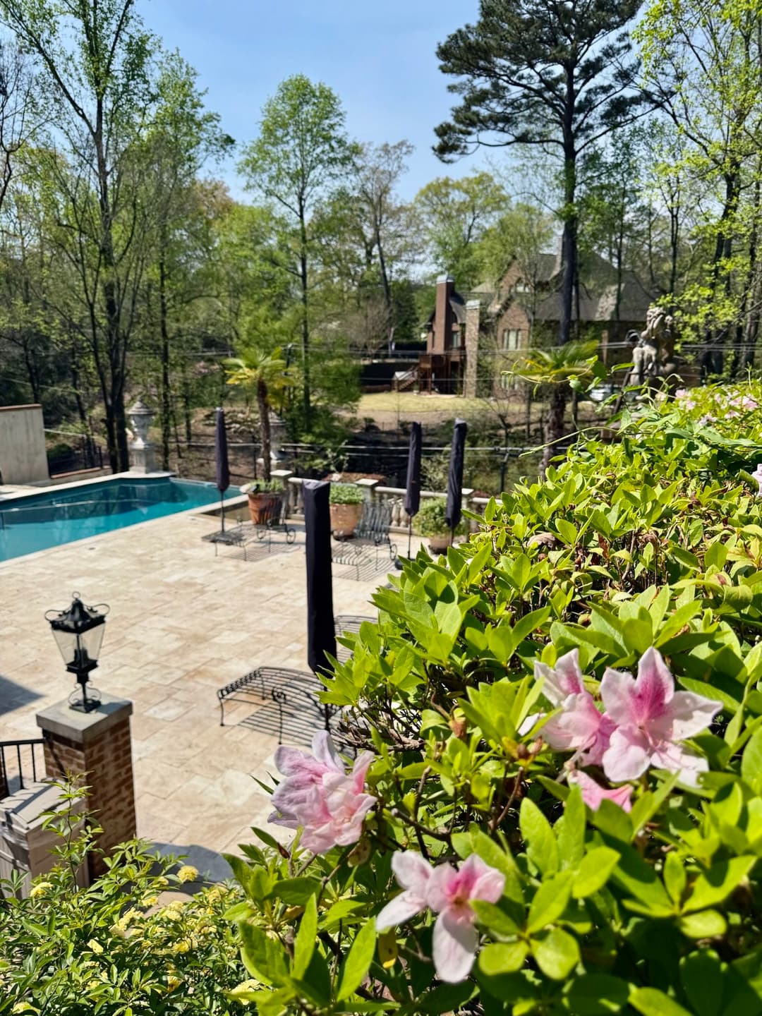 Blooming pink flowers near a luxurious pool surrounded by greenery and outdoor seating.