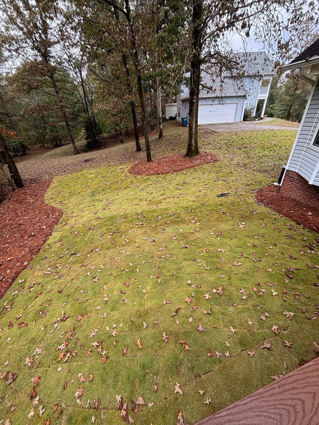 Lawn with fallen leaves and mulch beds near house in a wooded area.