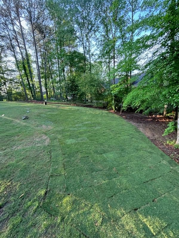 Project Lush Sod Installation at Black Dog Services image