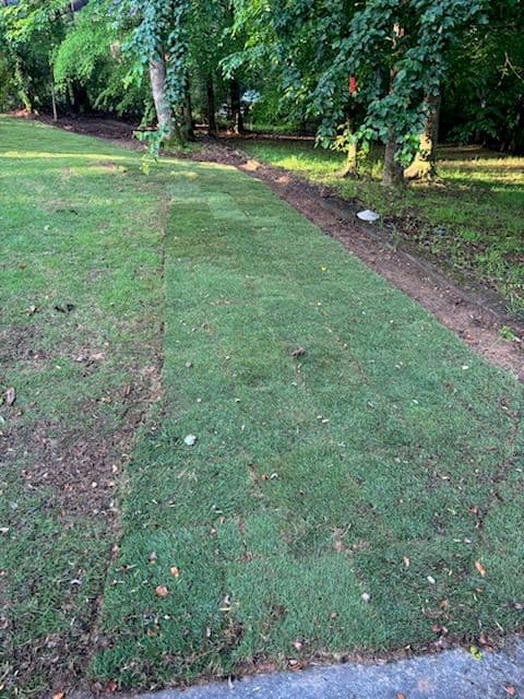 Gallery photos for Lush Sod Installation at Black Dog Services: Image #1