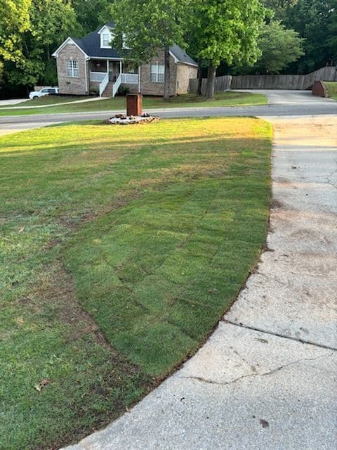 Gallery photos for Lush Sod Installation at Black Dog Services: Image #2