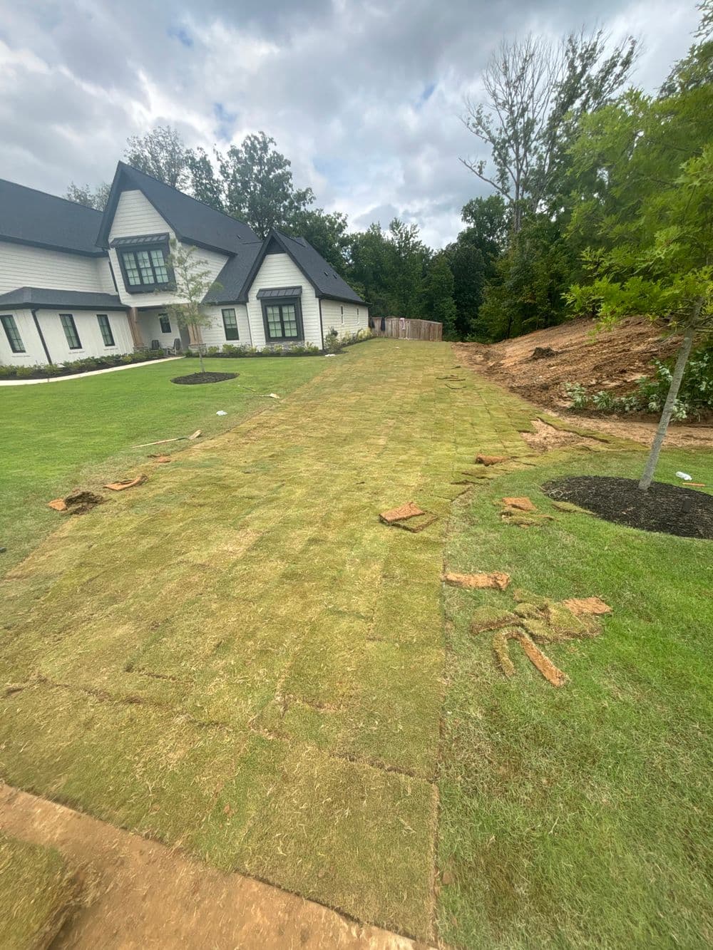 Freshly laid sod on a lawn beside a modern white house, with trees and landscaping.