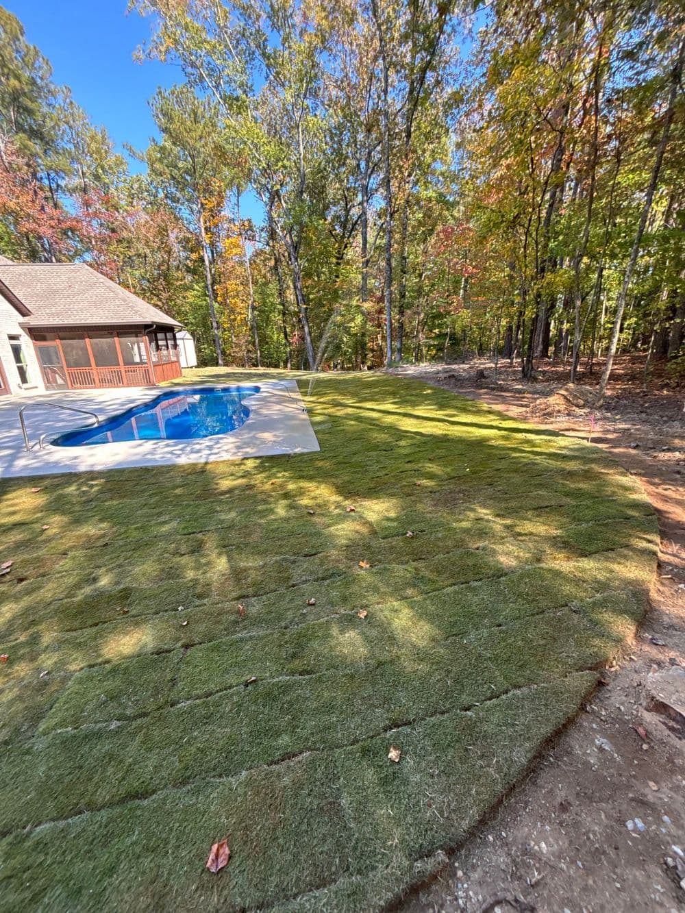Lush green lawn with freshly laid sod surrounding a swimming pool in a wooded area.