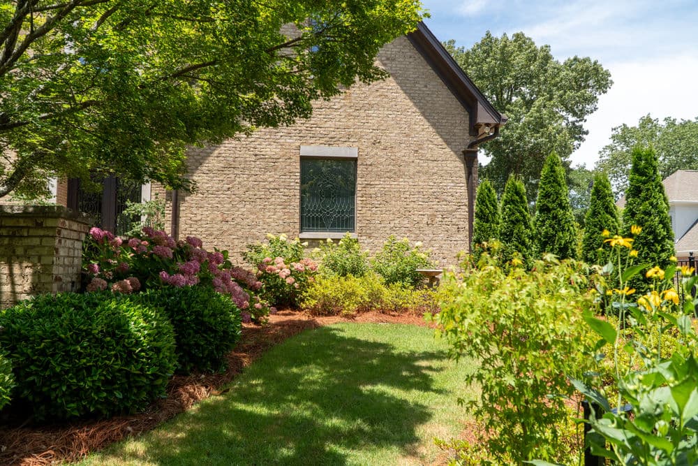 Lush garden with hydrangeas and evergreens beside a brick house on a sunny day.