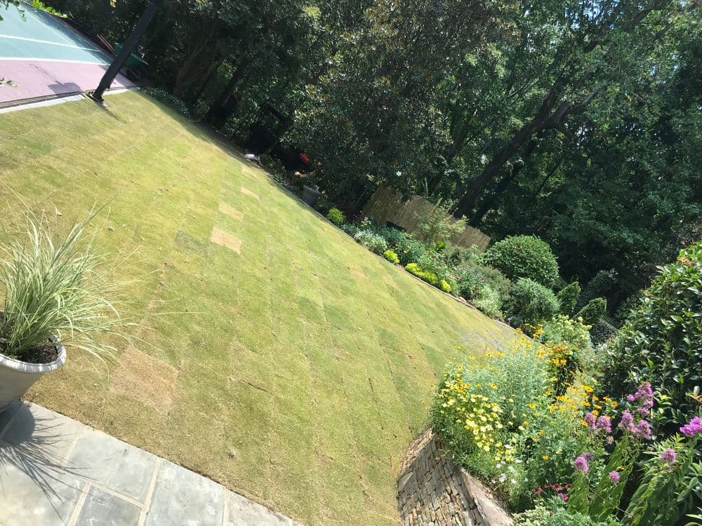 Lush green lawn with colorful flower beds in a landscaped garden.