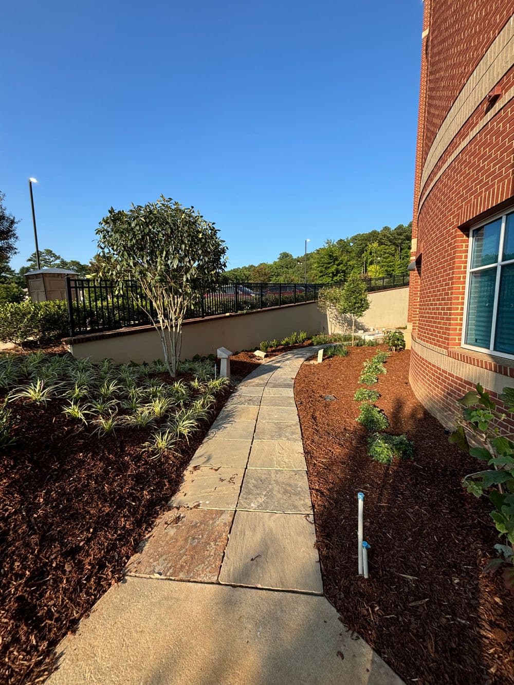 Curved stone pathway surrounded by landscaped plants and mulched flower beds on a sunny day.