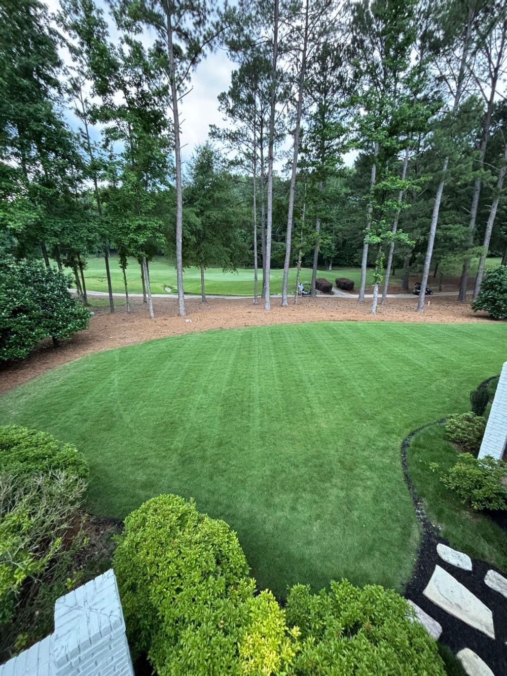 Lush green lawn with neatly trimmed grass surrounded by tall trees and landscaping.