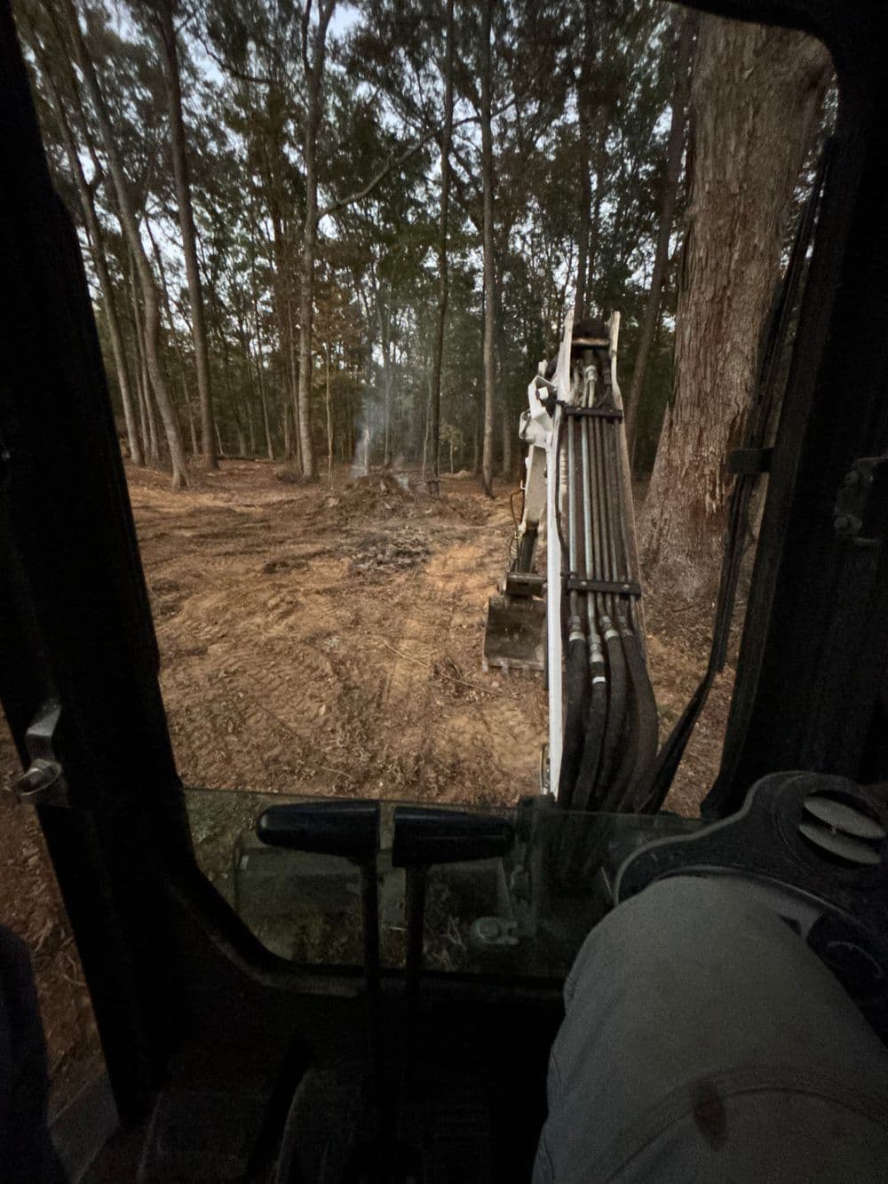 View from inside an excavator in a wooded area, preparing land for clearing.