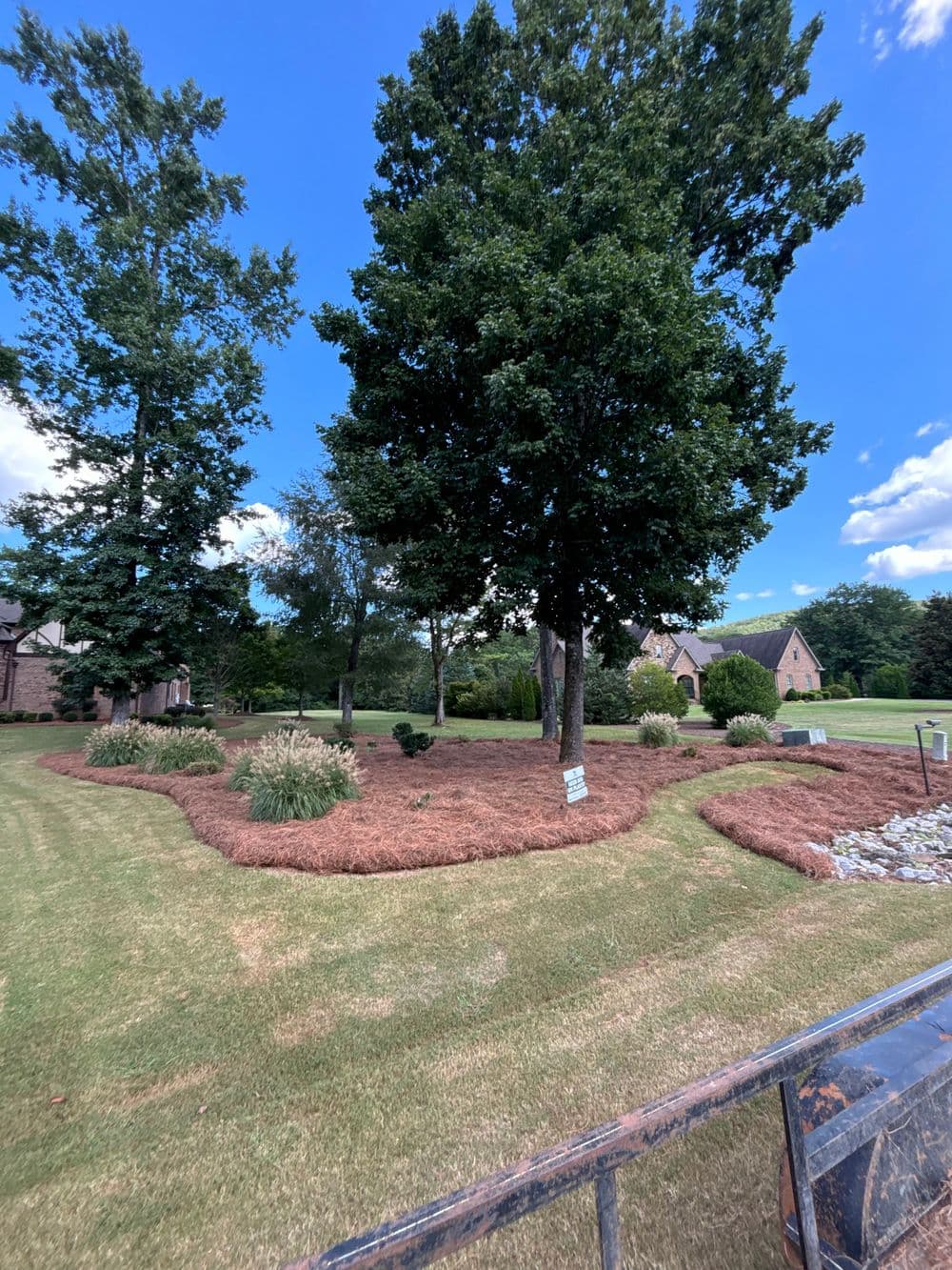 Landscape featuring a large tree and garden area with mulch, surrounded by sunny blue sky.