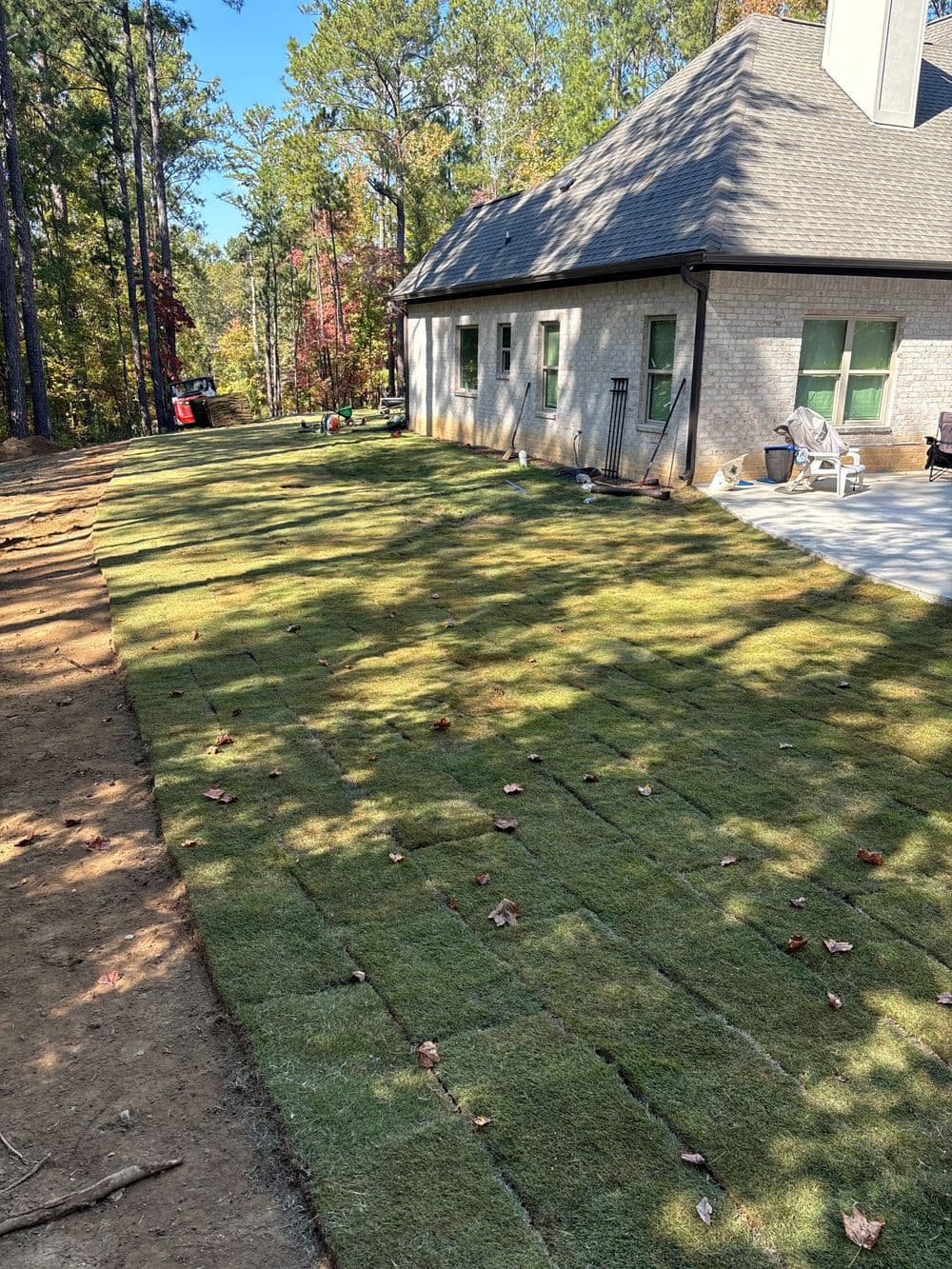 Freshly laid sod in a residential yard beside a house in a wooded area.