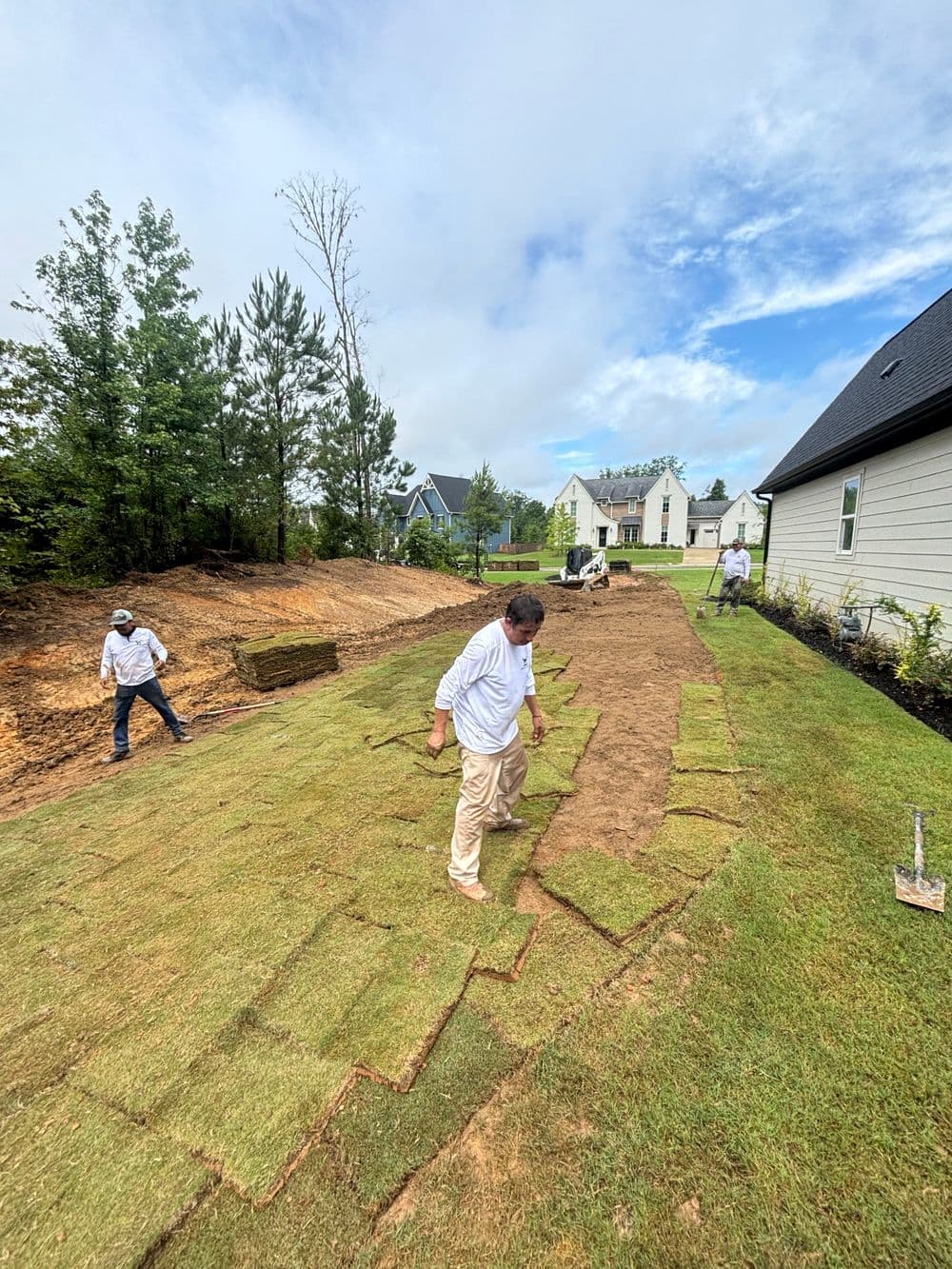 Workers installing sod on a residential lawn with trees and houses in the background.