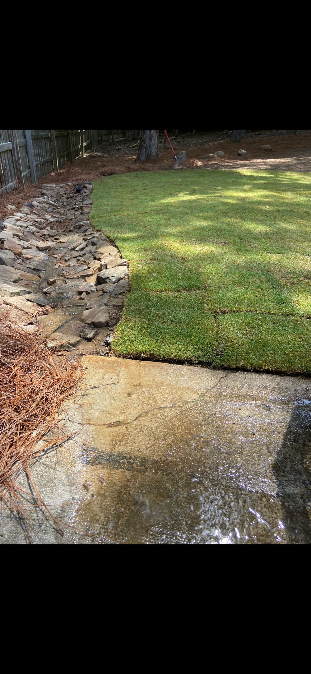 Freshly laid sod on a lawn bordered by a stone pathway and wet concrete surface.