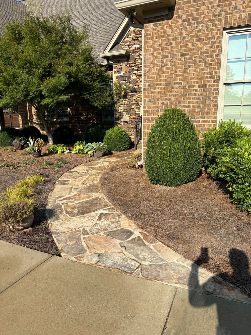 Stone pathway leading to a brick house, surrounded by well-maintained shrubs and plants.
