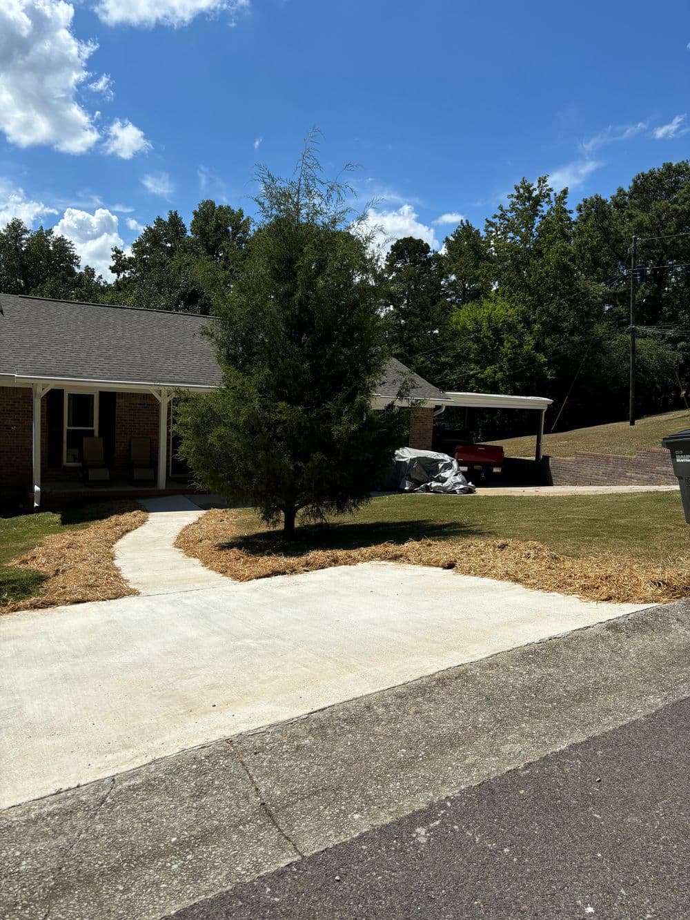 House with a walkway and tree, surrounded by green grass and blue sky. Sunny day.