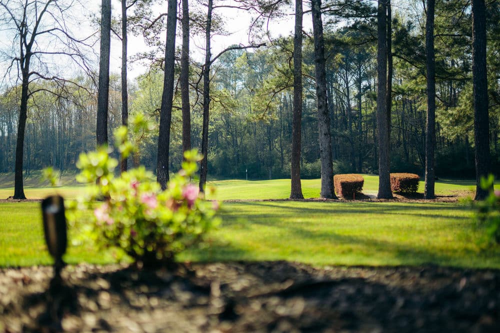 Lush green golf course surrounded by trees and blooming flowers in bright sunlight.