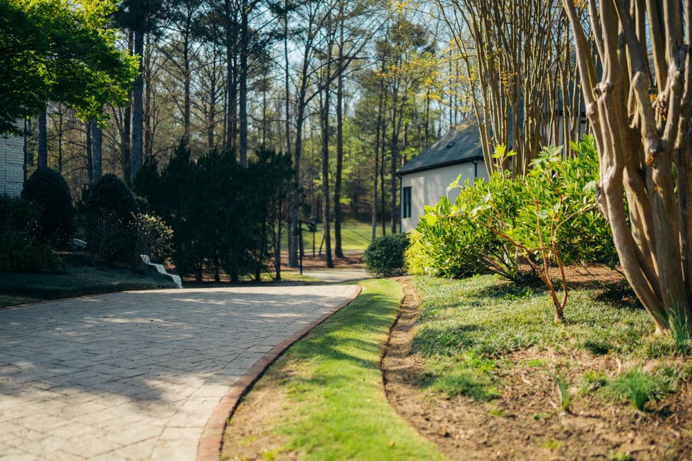 Scenic driveway curving through tranquil landscaped garden with trees and shrubs.