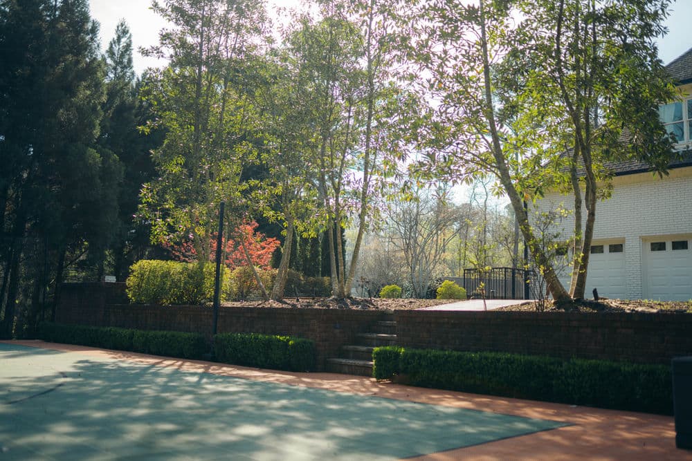 Lush garden with trees and steps beside a tennis court and brick wall in sunny outdoor setting.