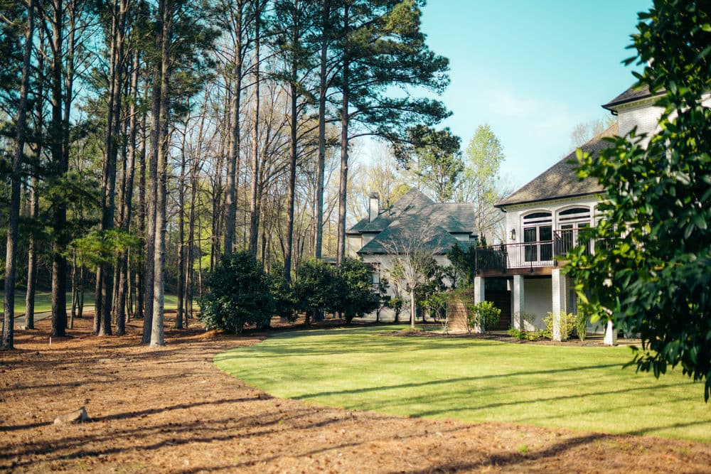 Beautiful residential backyard with lush green lawn and tall pine trees under a clear blue sky.